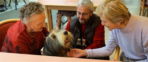 Altkirch Des Chiens Visiteurs Pour Le P Le G Riatrie De Lh Pital