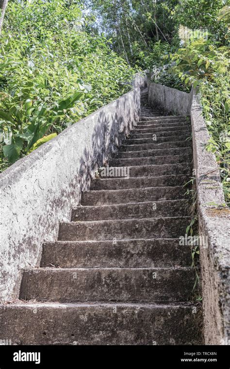 Hiking Trail With A Steep Concrete Staircase Leading Down To The