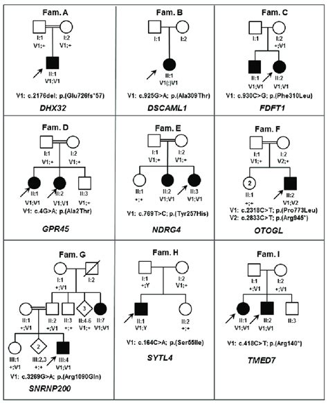 Pedigrees Of Families Fam Harboring Inherited Retinal Diseases Ird