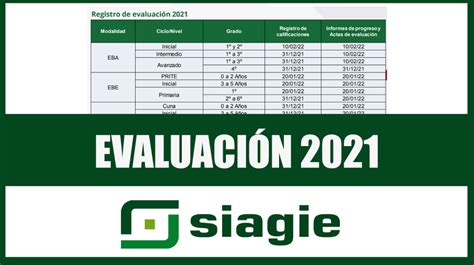 Registro De Notas En El Siagie Por Notas Finales 2021 Youtube Hot Sex