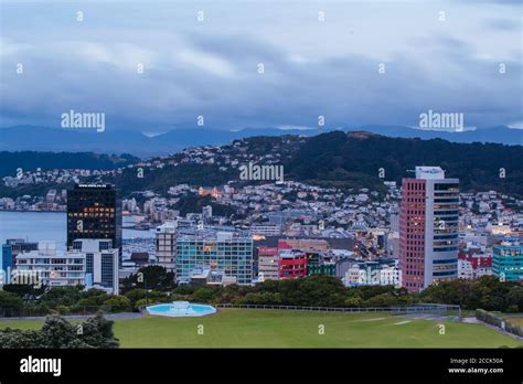 Bay oval new zealand hi-res stock photography and images - Alamy