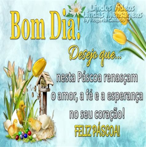 Lindos V Deos Lindas Mensagens Bom Dia Feliz P Scoa