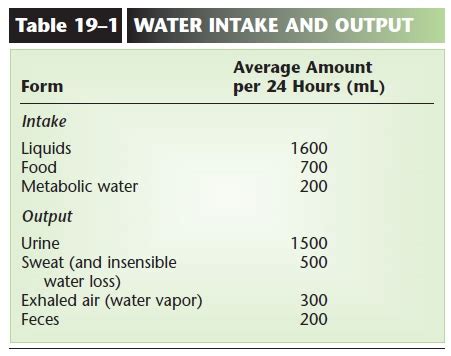 Water Intake And Output In Human Body