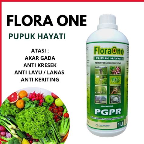 Jual Flora One Pupuk Hayati Pupuk Pgpr Agar Cepat Tumbuh Rhizobium Sp