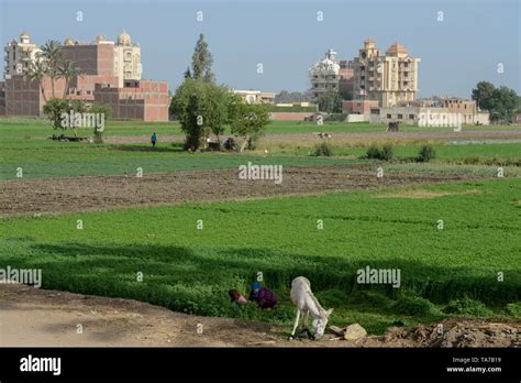 Urbanization Farmland Africa Hi Res Stock Photography And Images Alamy