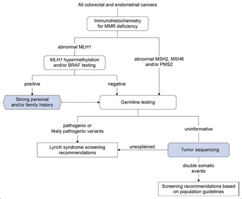 Modified Framework For Universal Lynch Syndrome Screening Download