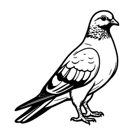 Free Pigeon Svg K Laser Cutter