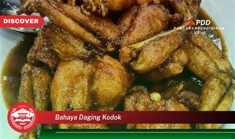 Intip Bahaya Daging Kodok Yang Jarang Diketahui