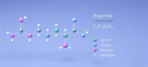 Arginine, Amino Acid, Molecular Structures, 3d Model, Structural ...