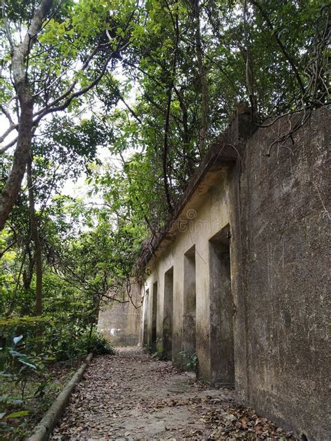 Awesome Nature Hike Pinewood Battery Hike Historical Site In Lung Fu