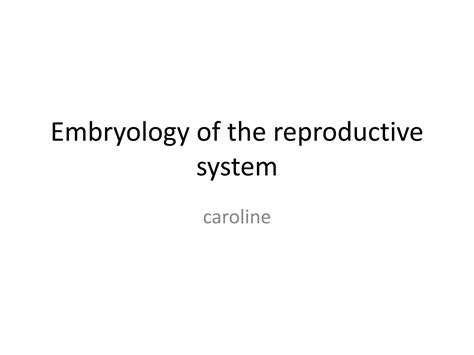 Solution Embryology Of The Reproductive System Studypool