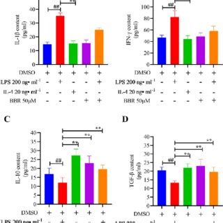 BBR S Effect On The MRNA Expression Of RAW 264 7 Cells A Heatmap Of