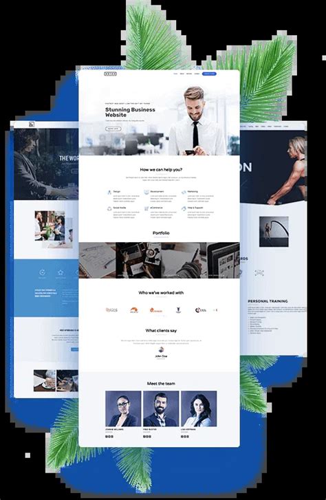 local website designers  seo services