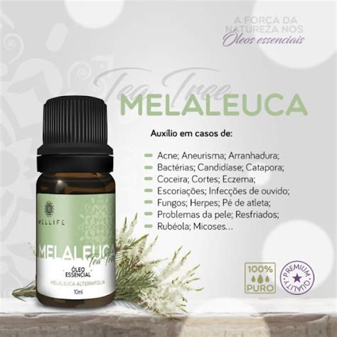 Para Que Serve O Óleo Essencial De Melaleuca - Para que Serve o Óleo de Melaleuca? - Blog da Wellife | Aromaterapia ...