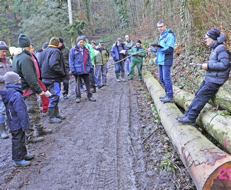 So Mancher Ster Holz Ging Zum Anschlagspreis Weg Eichstetten