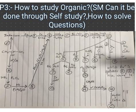 Organic Chemistry Reactions Study Guide