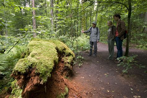 Por qué proteger los océanos es vital para el planeta y las personas