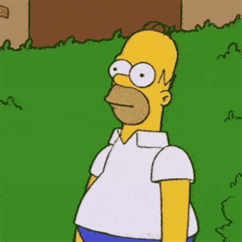Funny Pictures Memes Gif