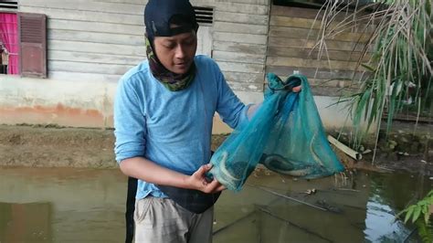 Mancing Belutngurek Belut Spot Kebun Kelapa Sawit Youtube