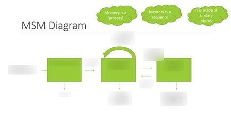 MSM Diagram Diagram Quizlet