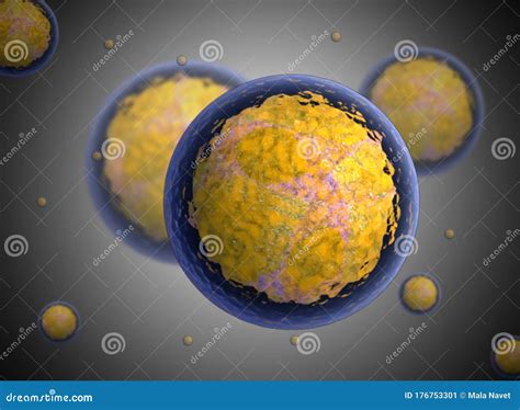 Nucleolus Nucleus 3d Stem Cell Stock Illustration Illustration Of Ribosomes Microscope