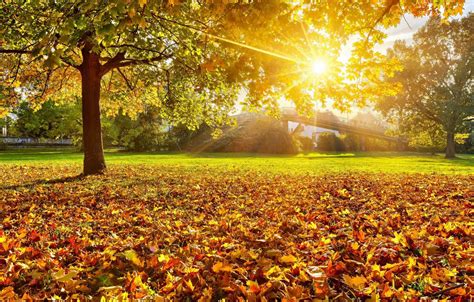 Autumn Sunshine Wallpapers - Top Free Autumn Sunshine Backgrounds ...