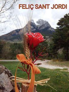 Ideas De Abril Sant Jordi Diada Catalunya En Diada