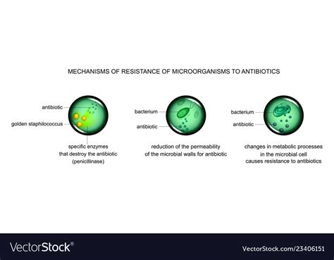 Mechanisms of microbial cell resistance Royalty Free Vector