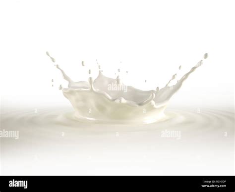 Milk Crown Splash Splashing In Milk Pool With Ripples Isolated On