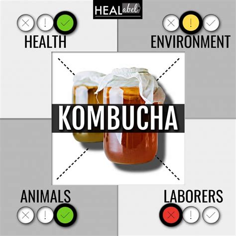 Kombucha Benefits Side Effects