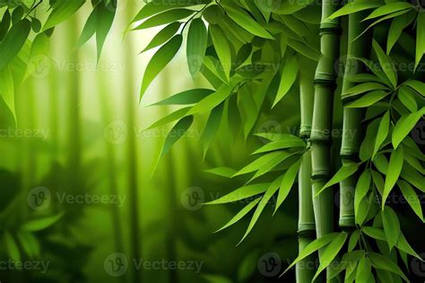 Green Bamboo Background Fresh Leaves On Tree As Nature Ecology And Environment Concept 23236197