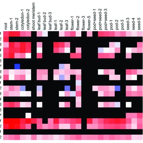 The Spatiotemporal Expression Profiles Of Gmosca Genes In Soybean The