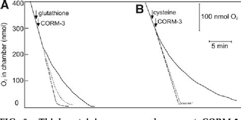 Figure 9 From Analysis Of The Bacterial Response To Ru CO 3Cl Glycinate