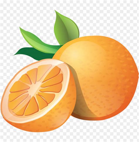 Oranges Clipart Png Photo 30507 TOPpng