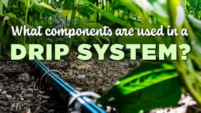 What Components Are Used in a Drip Irrigation System? - DripWorks