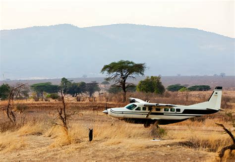 Days Fly In Safari From Zanzibar Wetu Africa Adventures