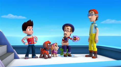 Watch Paw Patrol Season 1 Episode 22 Pups Save The Camping Trippups