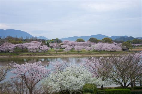 Imgp0423 駕与丁公園 福岡県糟屋郡粕屋町駕与丁3丁目2 1 Yuki5287 Flickr