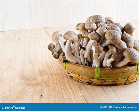 Brown Beech Buna Shimeji Mushrooms Stock Photo Image Of Freshness