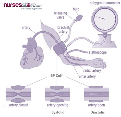 Block Diagram Of Blood Pressure Machine Block Blood Pressure