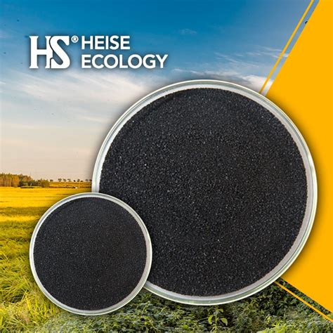 Hs Eco High Quality Humic Acid Fulvic Acid With Black Shiny Powder