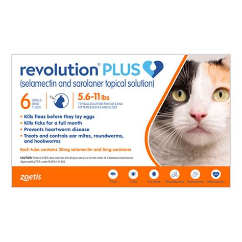 revolution for cats 5-15 lbs - Bunyanesque E-Journal Photography