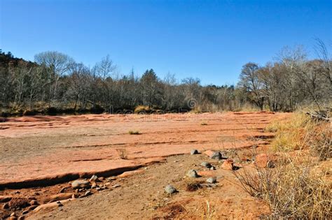 Dry River Bed. A dry riverbed in the desert in Sedona, Arizona # ...