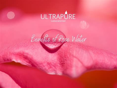 Benefits of Rose Water? - ULTRAPURE Laboratories®