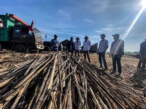 Pabrik Gula SGN Sudah Siap Memulai Giling 2024 Liputan Pontianak