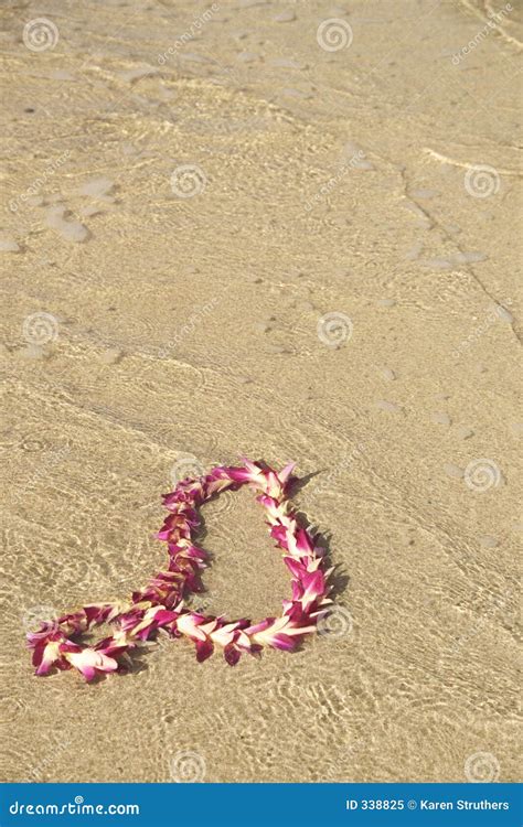 Garland of flowers stock image. Image of dream, relax, island - 338825