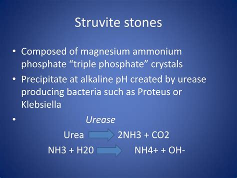 Ppt Staghorn Calculi Causes And Treatment Powerpoint Presentation