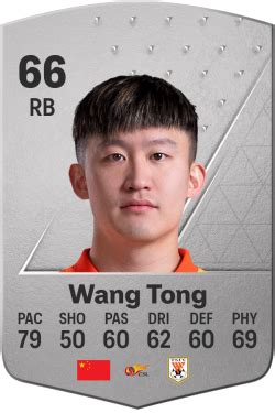 Wang Tong FC 24 Silver RB 66 Age Career More