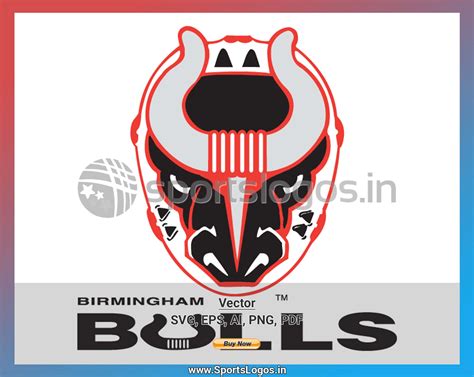 Birmingham Bulls - 2017/18, Southern Pro Hockey League, Hockey Sports