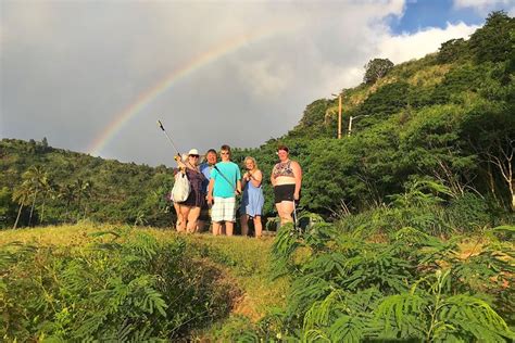 Viator Oahu Tours
